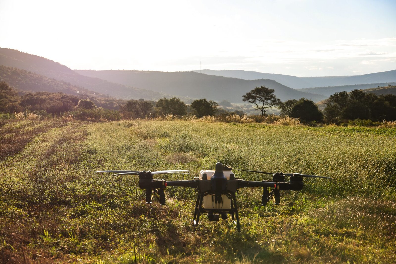 Poljoprivredni dron na parceli u ranom jutarnjem svetlu